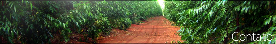 Contato