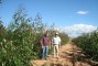 Floresta com 5 meses em solo arenoso em Pirapora-MG