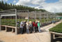 Treinamento de equipe de viveiro visando aumento de rendimento e qualidade nas opera��es.